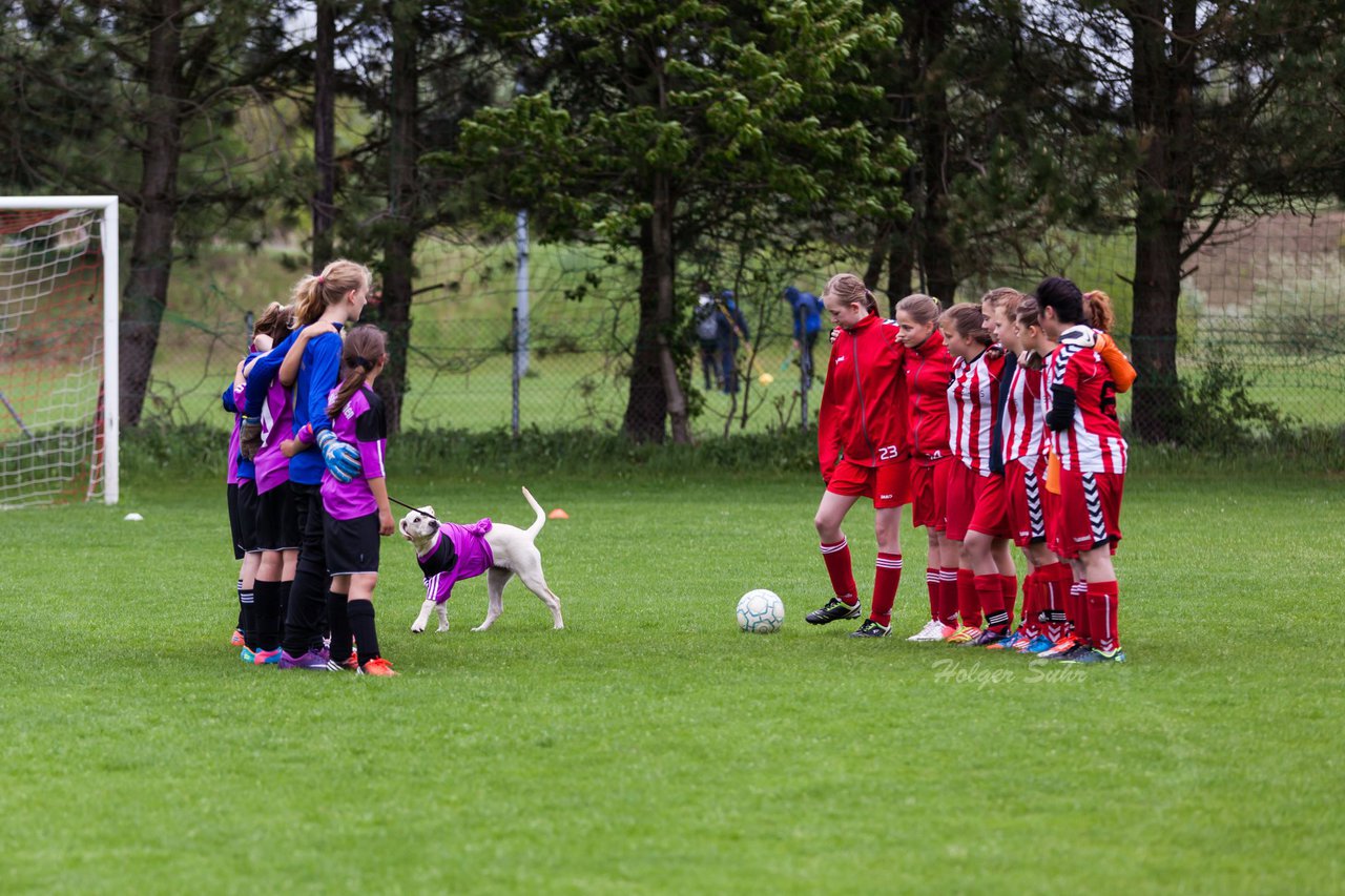 Bild 53 - D-Juniorinnen TuS Tensfeld - FSC Kaltenkirchen : Ergebnis: 1:0